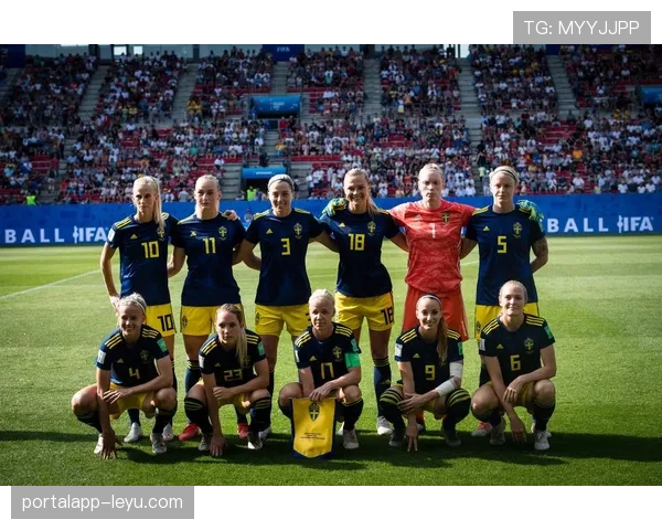 瑞典队无缘世界杯：新挑战下的未来之路引关注