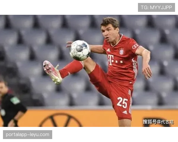 J1联赛积分榜：争冠与保级形势渐趋明朗